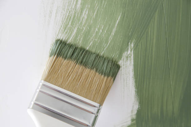 Best Residential Mold Inspection & Testing  in Dumas, TX