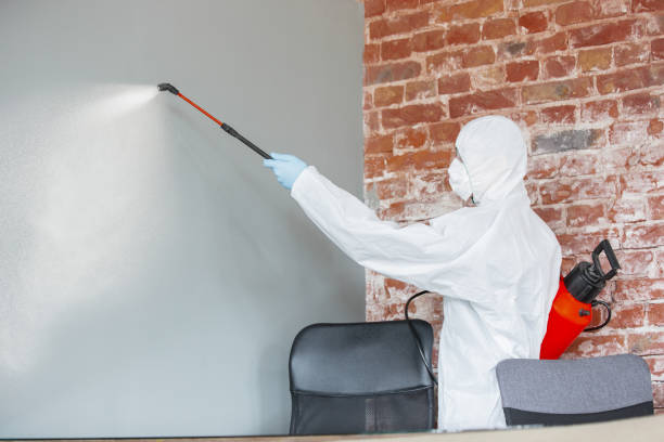 Best Commercial Mold Inspection  in Dumas, TX