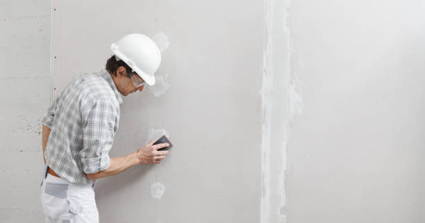 Best Emergency Mold Remediation  in Dumas, TX