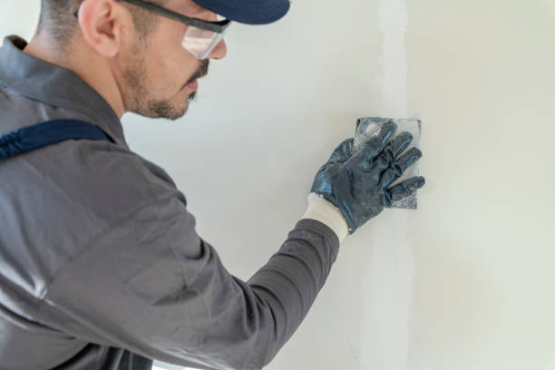 Best Black Mold Removal  in Dumas, TX