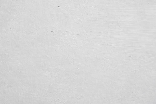 Dumas, TX Mold Removal Company