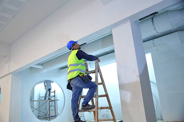 Best Forensic Mold Investigation  in Dumas, TX