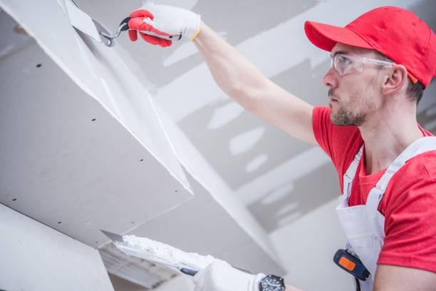 Best Air Quality Testing for Mold Spores  in Dumas, TX